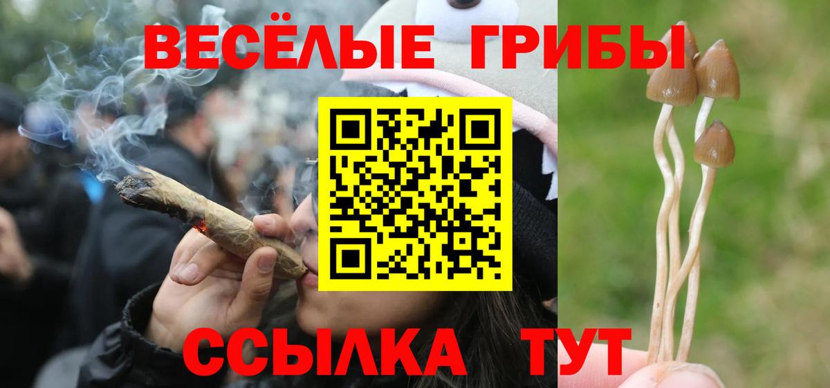 Галлюциногенные грибы GOLDEN TEACHER Петропавловск-Камчатский